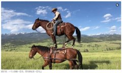 同样赞、评论等互动选项